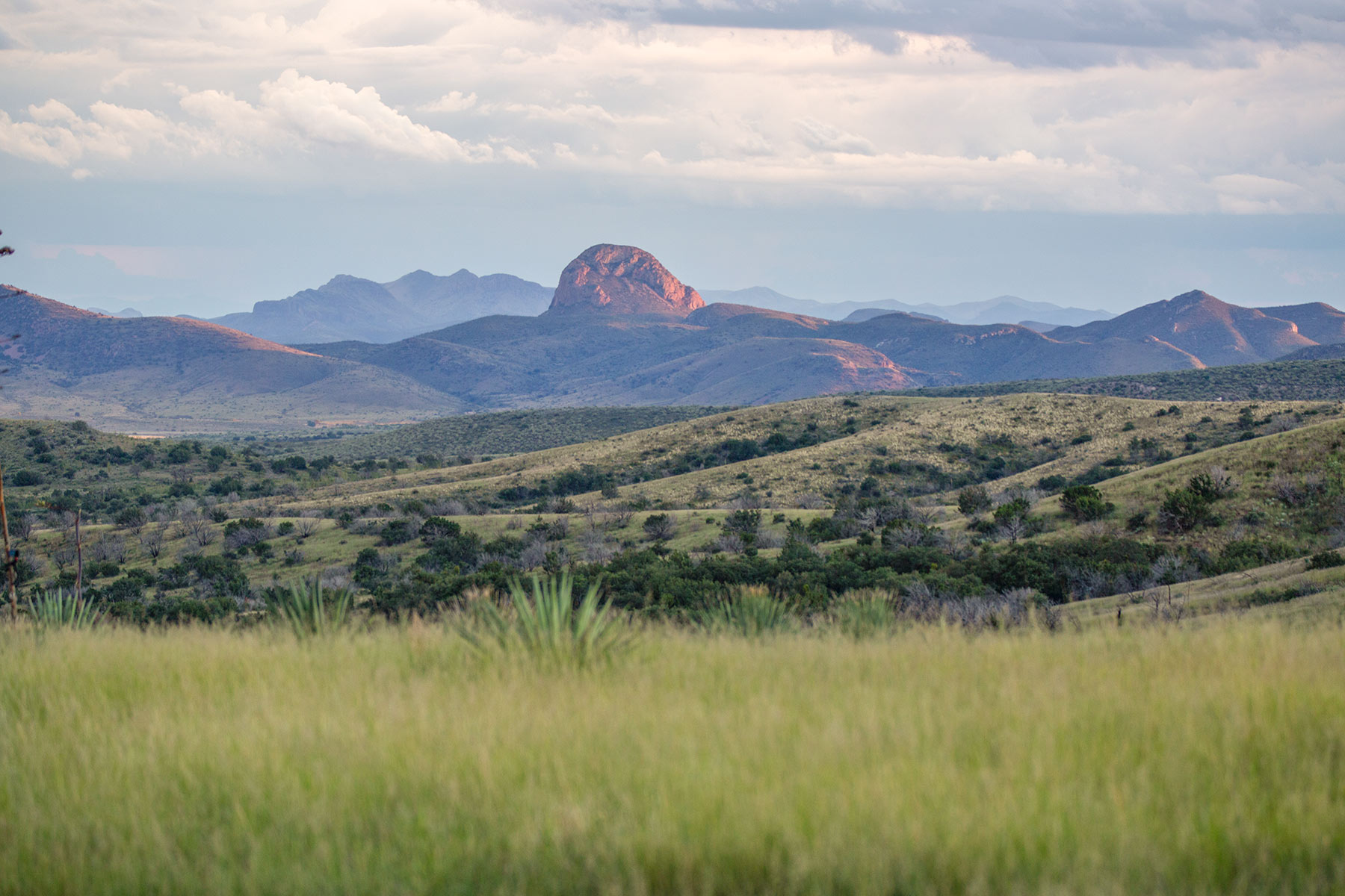 Bar Boot Ranch - Sold - Arizona - Hall and Hall