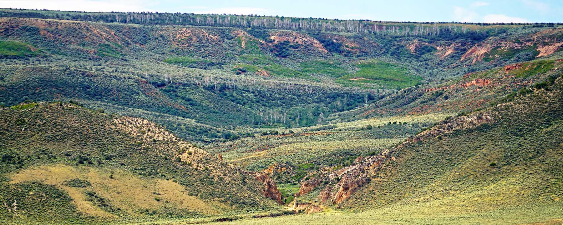Three Springs Ranch - Sold - Colorado - Hall and Hall
