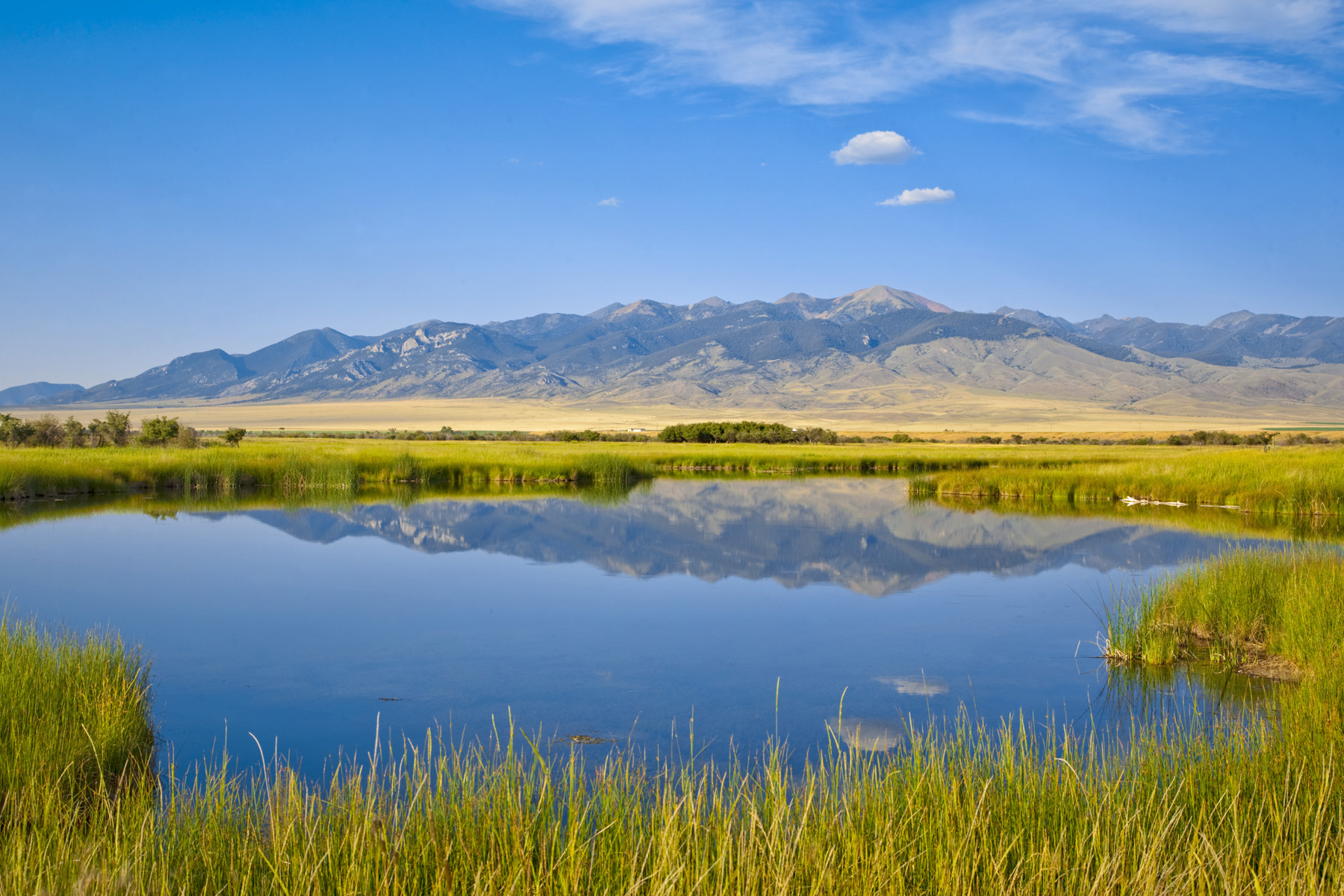 Beaverhead Spring Beaverhead Spring Creek Ranch - Sold - Montana - Hall and Hall