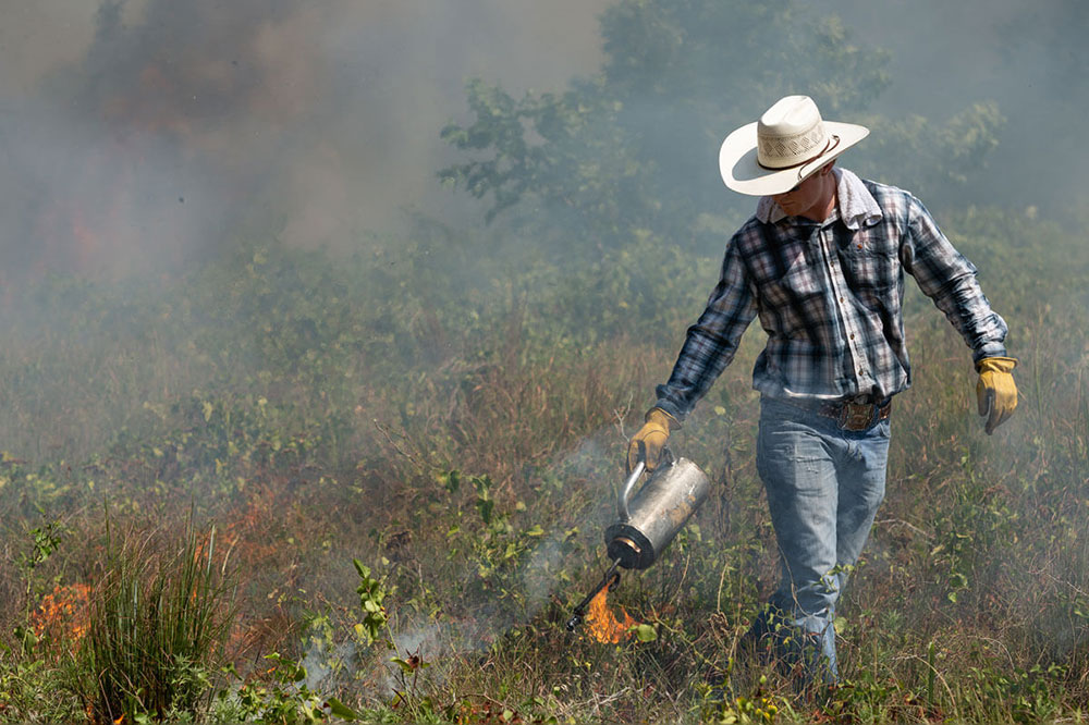 Noble Research Institute Advises Prescribed Burns