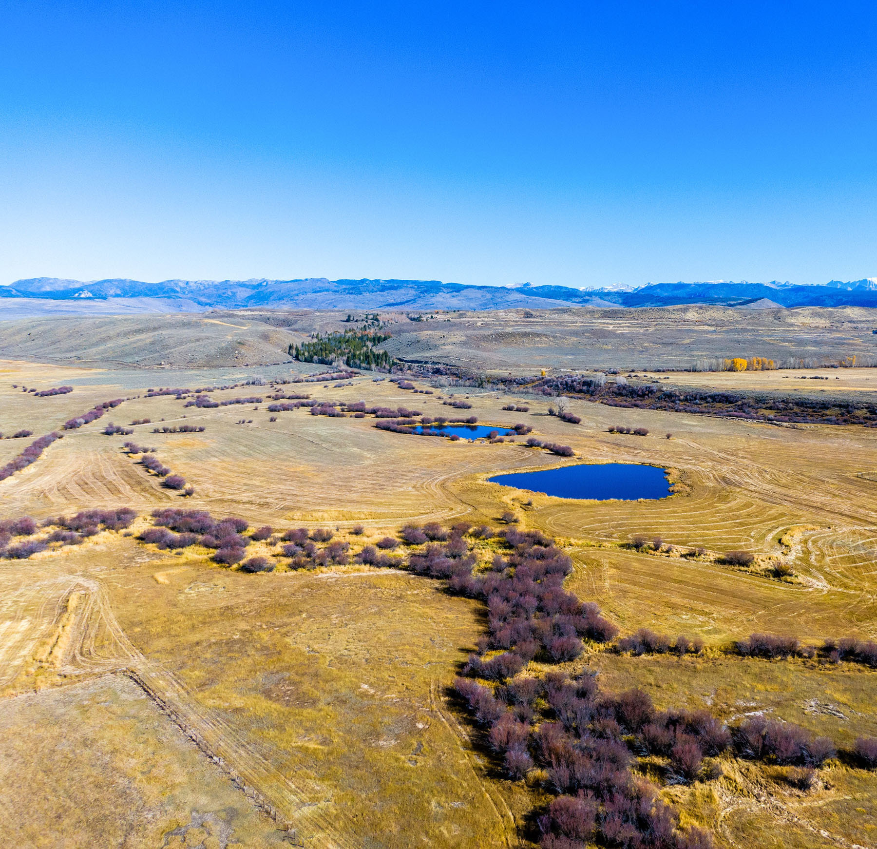 Binning Willow Creek Ranch - Sold - Wyoming - Hall and Hall