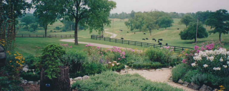 Clifton Farm