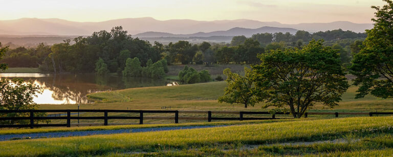 Linden Farm