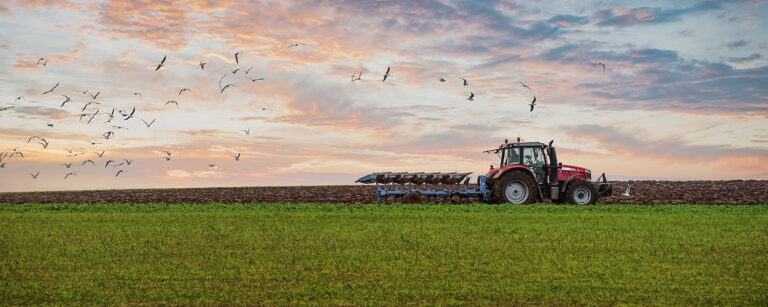 tractor in a field with birds flying around it