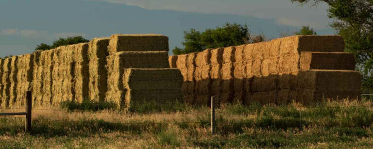 bales of hay sitting in a field