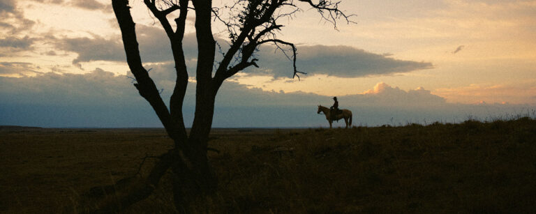 Horse out in a ranch with a rider on its back