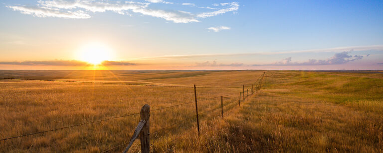 Barb wire fence