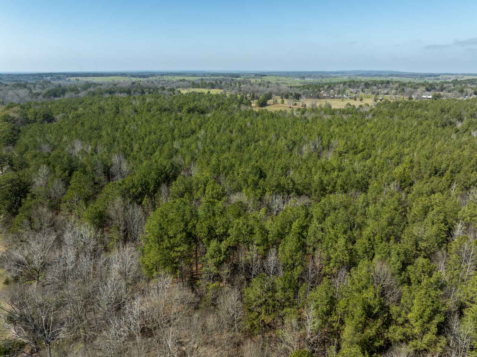 Tk Rice Ranch TK Ridge Ranch South - Sold - Texas - Hall and Hall