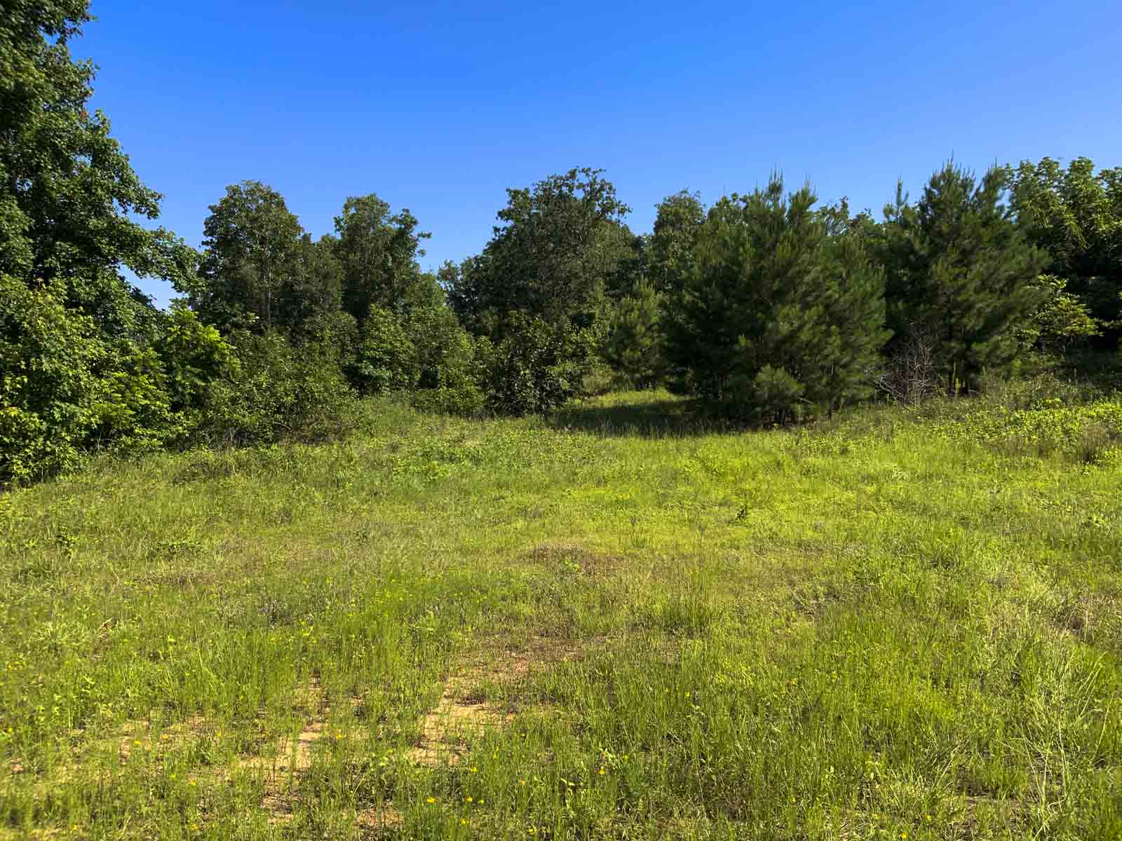 Tk Rice Ranch TK Ridge Ranch North - Sold - Texas - Hall and Hall