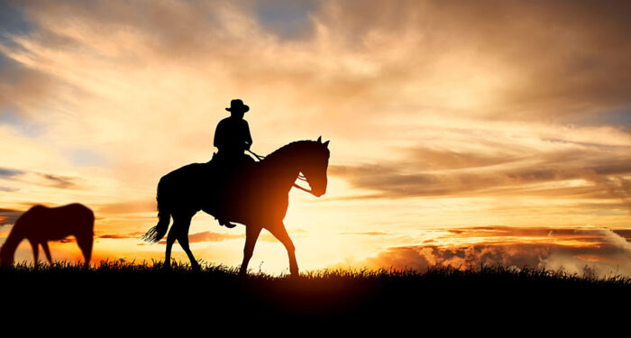 Cowboy and Horses at Sunset