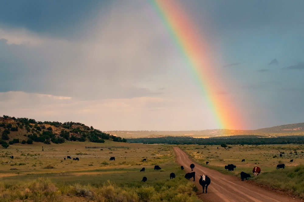 One of the Biggest Ranches in the USA is Selling for $142M