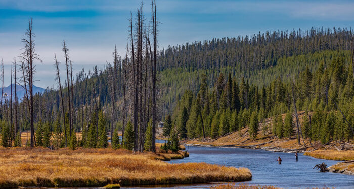 two anglers fishing a river