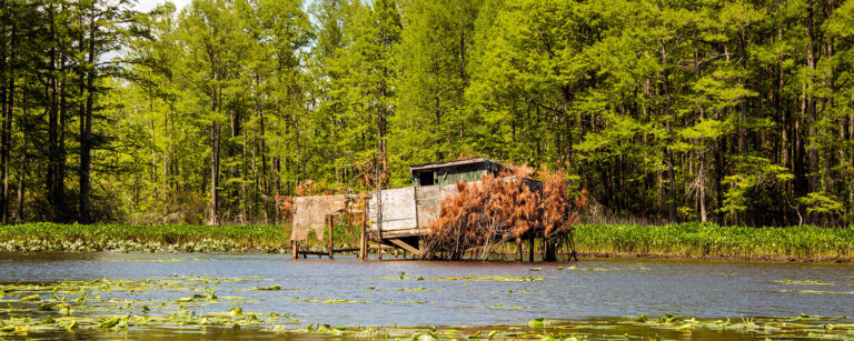 duck blind