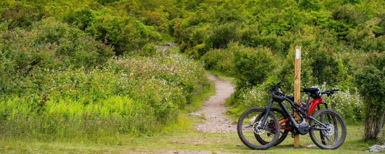 bikes on hiking path