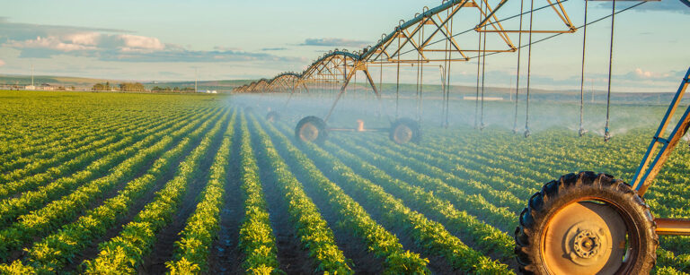 pivot sprinkling crop rows