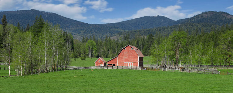 barn in meadow