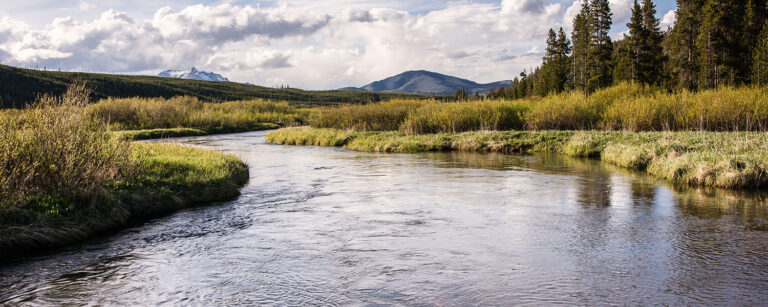 river view