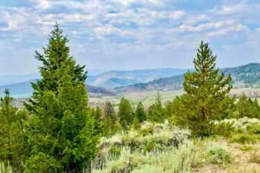 Circle J Ranch - For Sale - Colorado - Hall and Hall