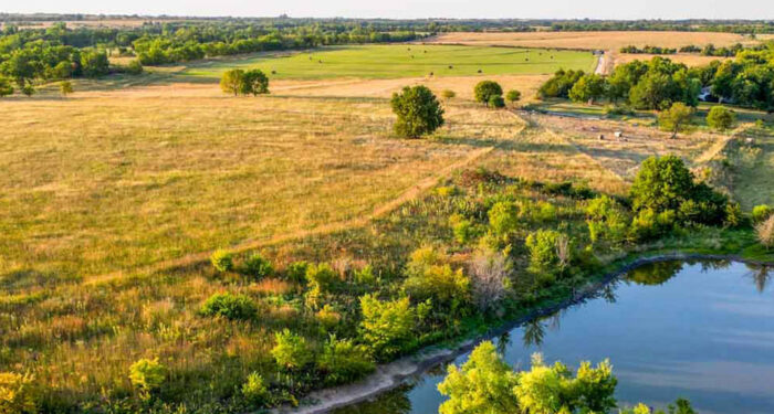 pond and fields