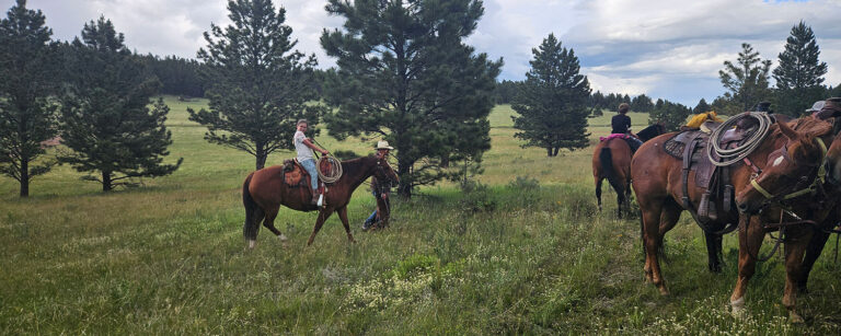 girl on horseback with man walking alongside, other saddles horses standing nearby in forest meadow