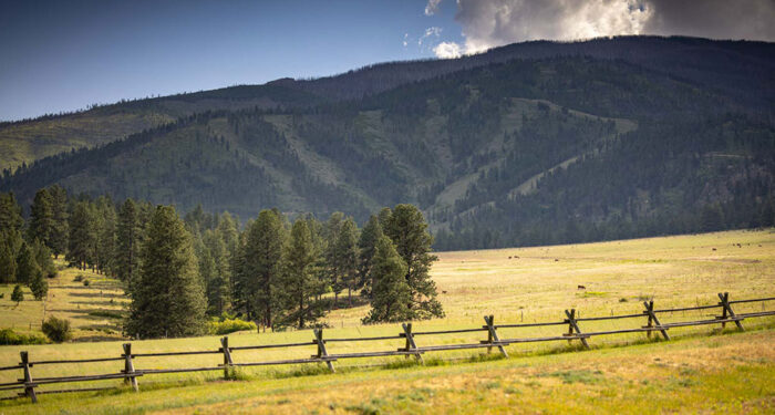foreground with split rail fence, coniferous trees and mountainside with several ski runs on green slope