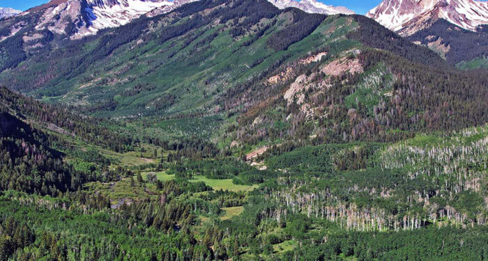 snowmass mountains and meadow covered in trees