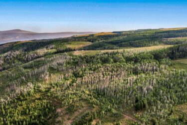 Yampa River Ranch - Sold - Colorado - Hall and Hall
