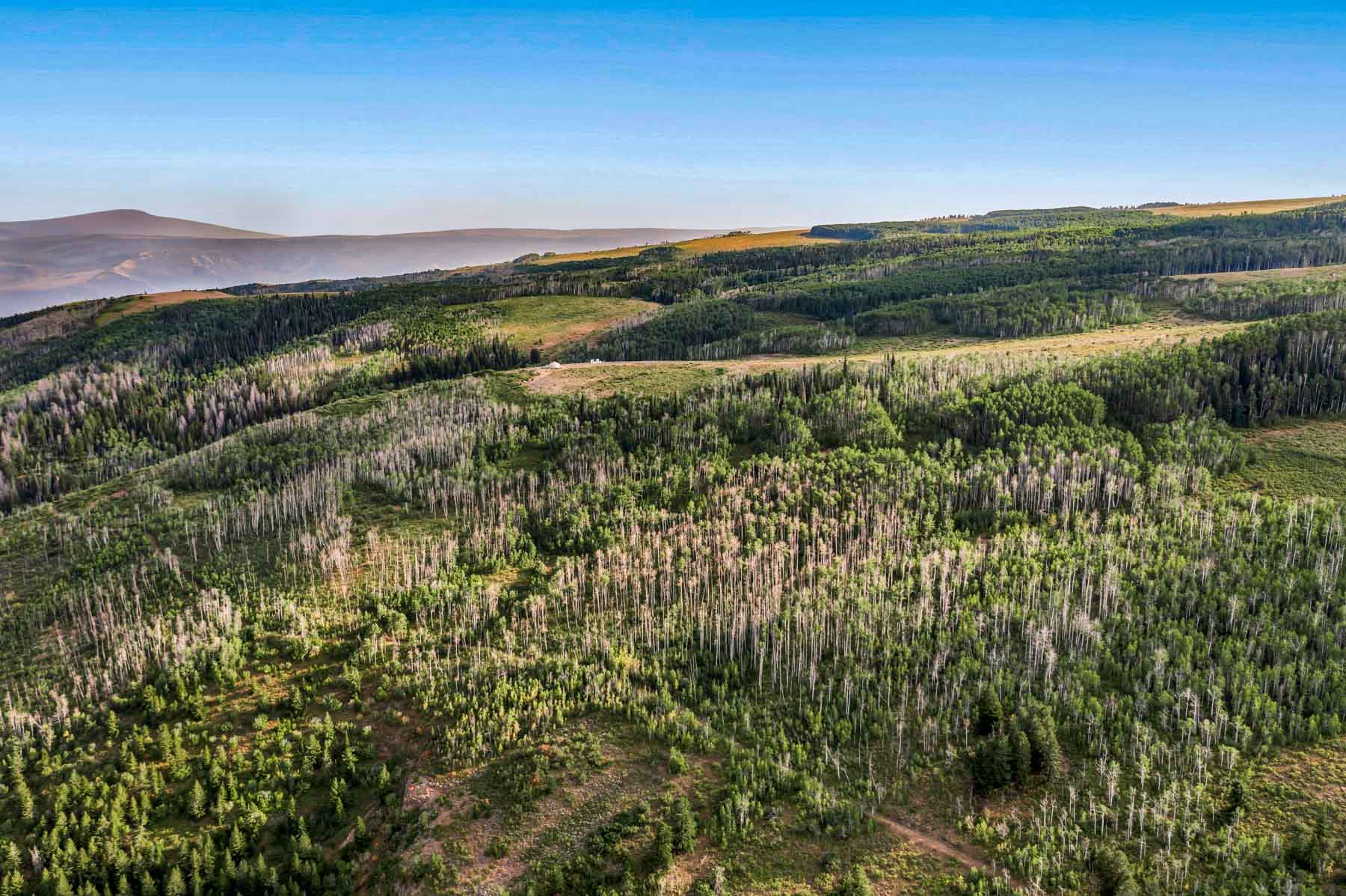 Royal Elk Ranch - For Sale - Colorado - Hall and Hall