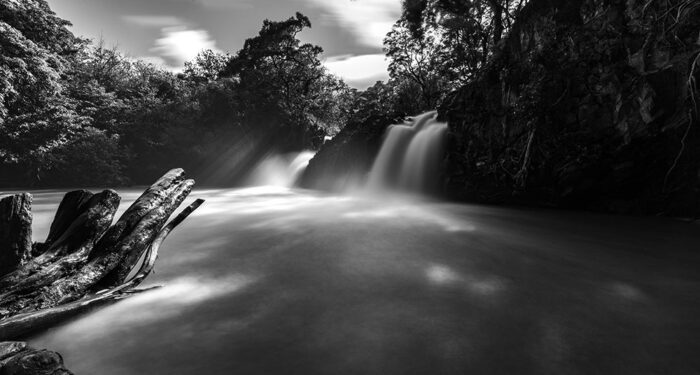 waterfalls and deadfall black and white