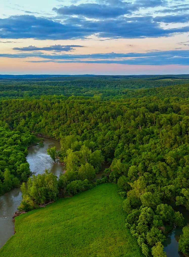 Find This Bar in the Forest, Win Free Beer for Life | MeatEater  Conservation News, image size:768x1045