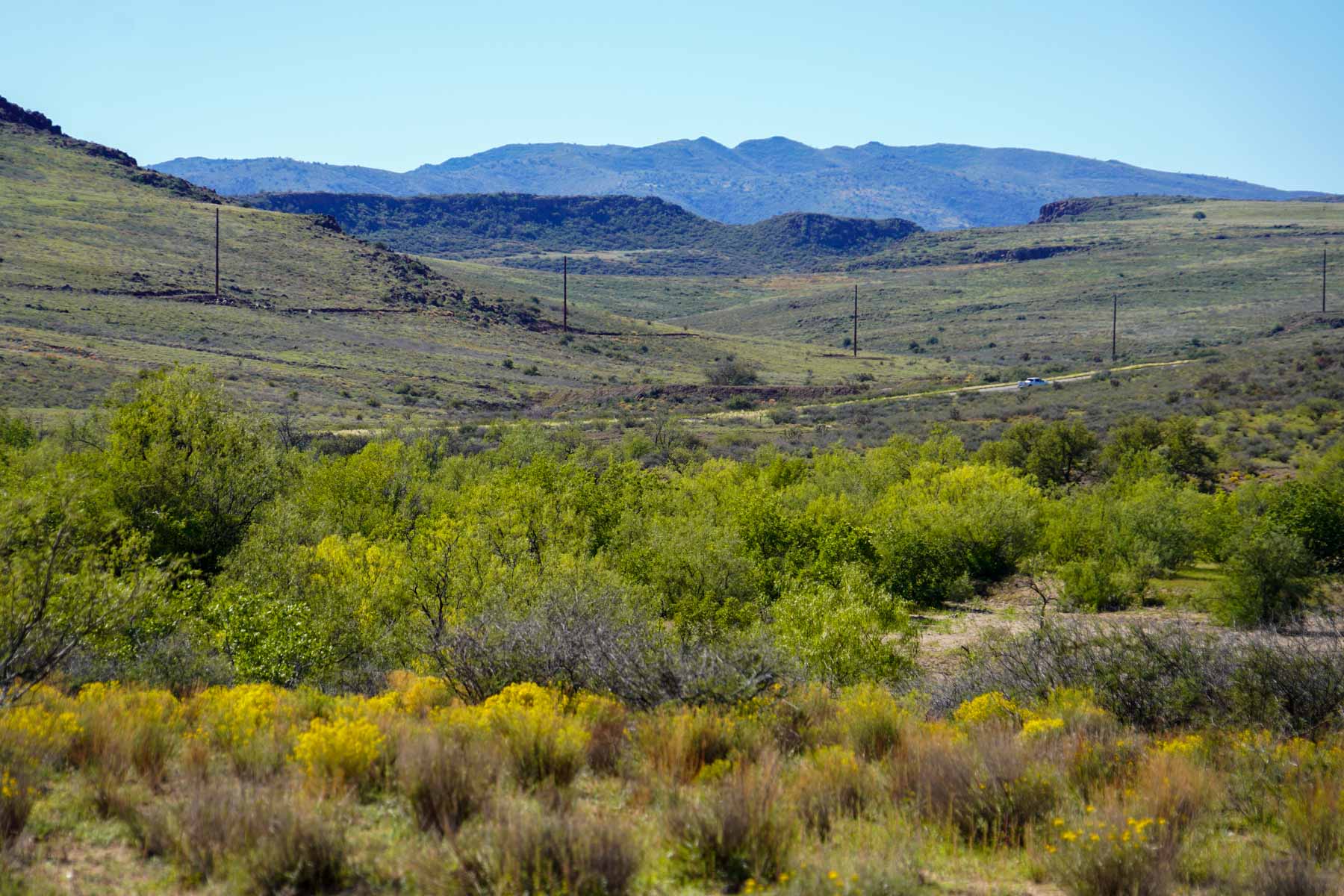 Rigden Ranch - For Sale - Arizona - Hall and Hall