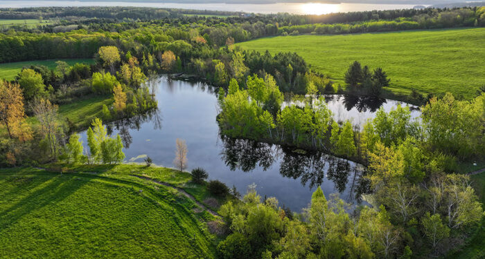 Pond line with green brush and grass in foreground with lake and hills in the distance
