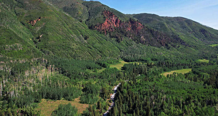 maroon cliffs and creek in the green of snowmass