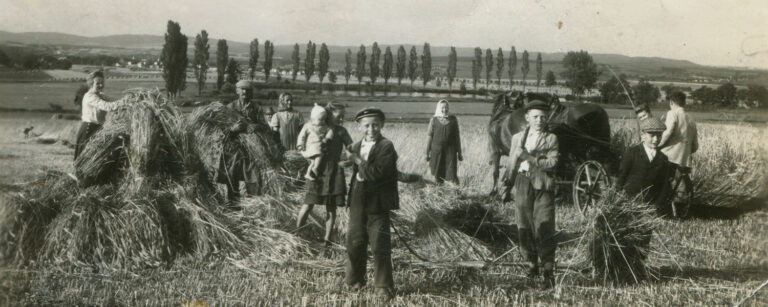 black and white photo of kids in hay yard perhaps on an old hay rake