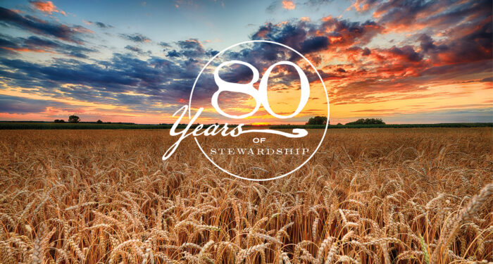 field of grain with clouds and sunset over the distant scape with 80 years logo