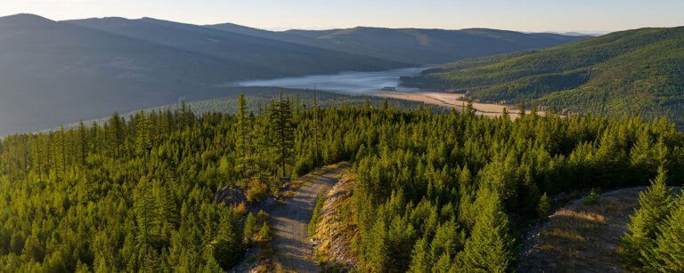 mountain road traverses treed slopes and distant vistas