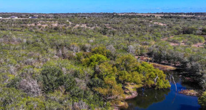 small pond in scrubbrush land with blue horizon