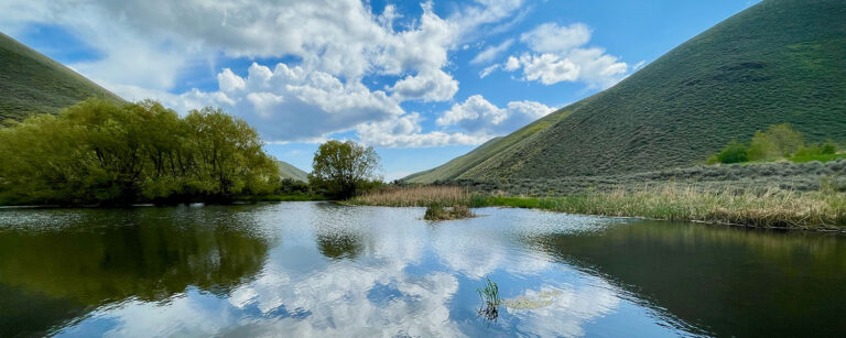 pond nestled between two hills with shrubs in the background at the end of the pond