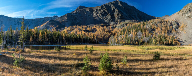 rocky mountains with aspen trees and fall covers surrounding a meadow