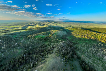 Mile High Ranch - For Sale - Reduced - Montana - Hall and Hall