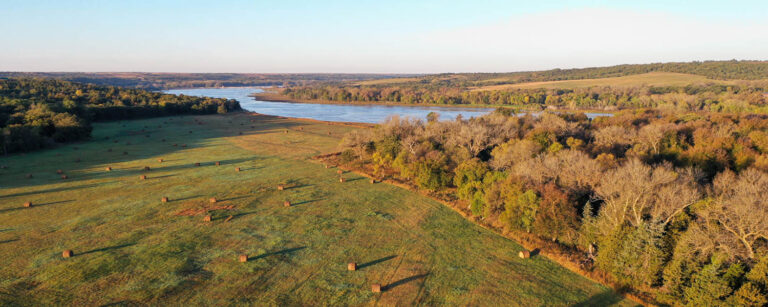 hay field with round bales lined with trees and bush with river in background