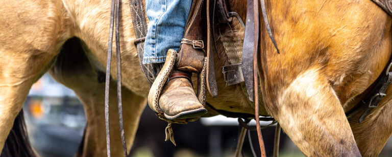 cowboy boot in stirrup against side of chestnut colored horse