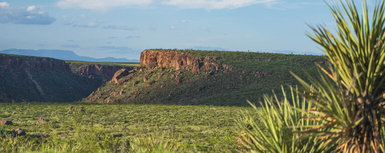 plateau in texas with spike plants in foreground