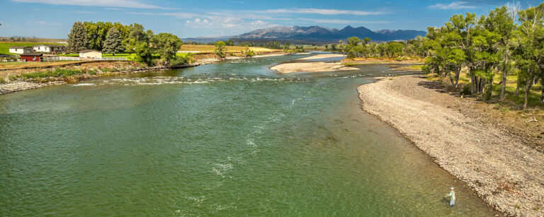 green river corridor with fishing person, tall trees and distant mountains