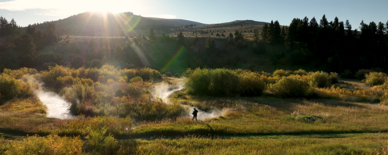 person fly fishing on riverbank at sunrise in a hay meadow with surrounding shrubs