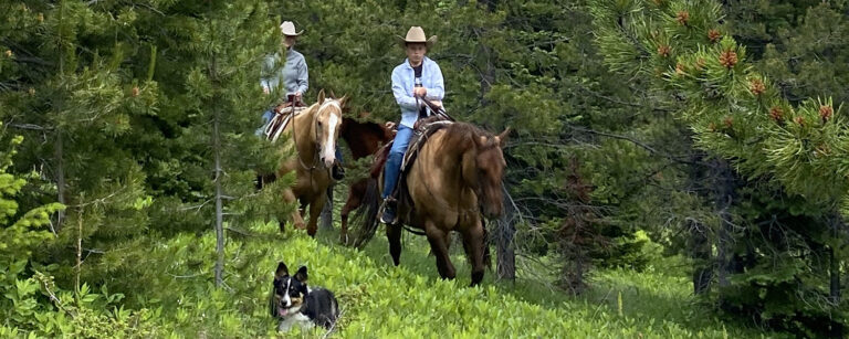 two riders horseback and a dog out in front on green, coniferous treed mountainside