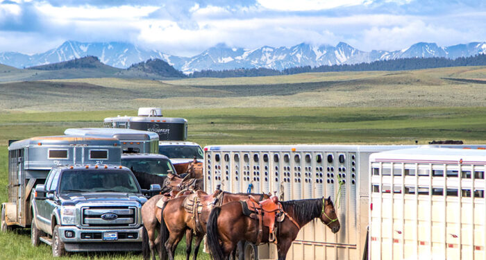 horses tied to horse trailer during branding break in large green pasture with big blue sky with scattered cumulous clouds and snow-capped mountain peaks