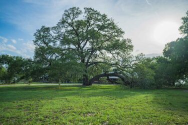 Valhalla Ranch - For Sale - Texas - Hall and Hall
