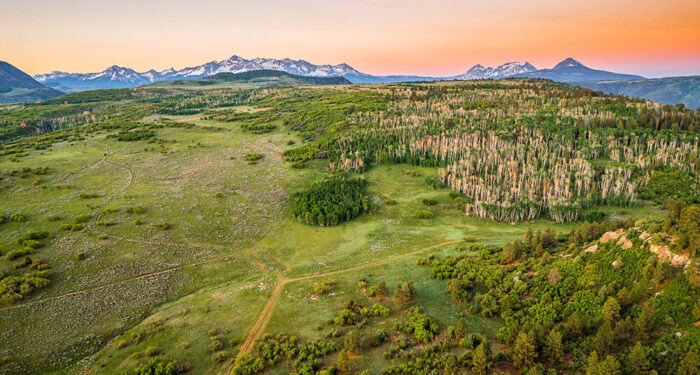 sun bloom over rocky mountain peaks with green tree-lined slope extending below