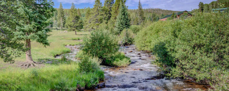 creek runs through the side of a mountain meadow and lines by shrubs and trees